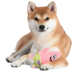 Fetch For Pets Spongebob Patrick Figure Plush Squeaky Dog Toy -PetSafe Kong Shop 722334 PT3. AC SS1800 V1672163353