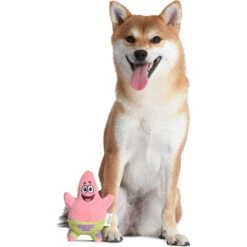 Fetch For Pets Spongebob Patrick Figure Plush Squeaky Dog Toy -PetSafe Kong Shop 722334 PT4. AC SS1800 V1672170140