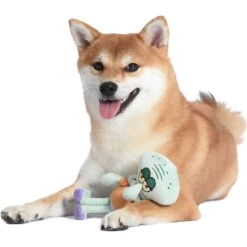 Fetch For Pets Spongebob Squidward Figure Plush Squeaky Dog Toy -PetSafe Kong Shop 722350 PT3. AC SS1800 V1672164009