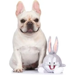 Fetch For Pets Warner Bros Bugs Bunny Ball Body Plush Squeaky Dog Toy -PetSafe Kong Shop 722478 PT3. AC SS1800 V1672163414