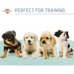 Chew + Heal Max Protect Pawformance Reusable Dog Pee Pads, 34x 36-in 15 Chew + Heal Max Protect Pawformance Reusable Dog Pee Pads, 34x 36-in -PetSafe Kong Shop 722758 PT7. AC SS1800 V1671031277