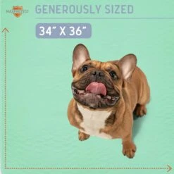 Chew + Heal Max Protect Quick-Dry Reusable Dog Pee Pads, 34-in -PetSafe Kong Shop 722782 PT3. AC SS1800 V1670969811