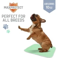 Chew + Heal Max Protect Quick-Dry Reusable Dog Pee Pads, 34-in -PetSafe Kong Shop 722782 PT4. AC SS1800 V1670969421