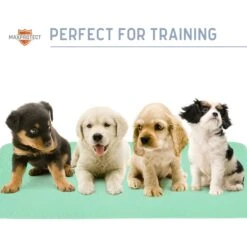 Chew + Heal Max Protect Quick-Dry Reusable Dog Pee Pads, 34-in -PetSafe Kong Shop 722782 PT7. AC SS1800 V1671035204