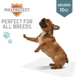 Chew + Heal Max Protect Reusable Dog Pee Pads 10 Chew + Heal Max Protect Reusable Dog Pee Pads -PetSafe Kong Shop 722814 PT2. AC SS1800 V1670969357