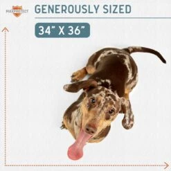 Chew + Heal Max Protect Reusable Dog Pee Pads 12 Chew + Heal Max Protect Reusable Dog Pee Pads -PetSafe Kong Shop 722814 PT4. AC SS1800 V1671035324