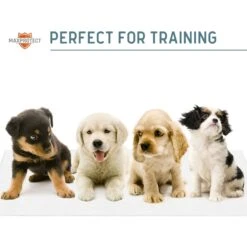 Chew + Heal Max Protect Reusable Dog Pee Pads 15 Chew + Heal Max Protect Reusable Dog Pee Pads -PetSafe Kong Shop 722814 PT7. AC SS1800 V1671035263