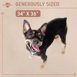 Chew + Heal Max Protect Plaid Reusable Dog Pee Pads, 34-in -PetSafe Kong Shop 722838 PT4. AC SS1800 V1671032955