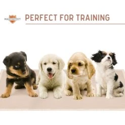 Chew + Heal Max Protect Plaid Reusable Dog Pee Pads, 34-in -PetSafe Kong Shop 722838 PT7. AC SS1800 V1670969361