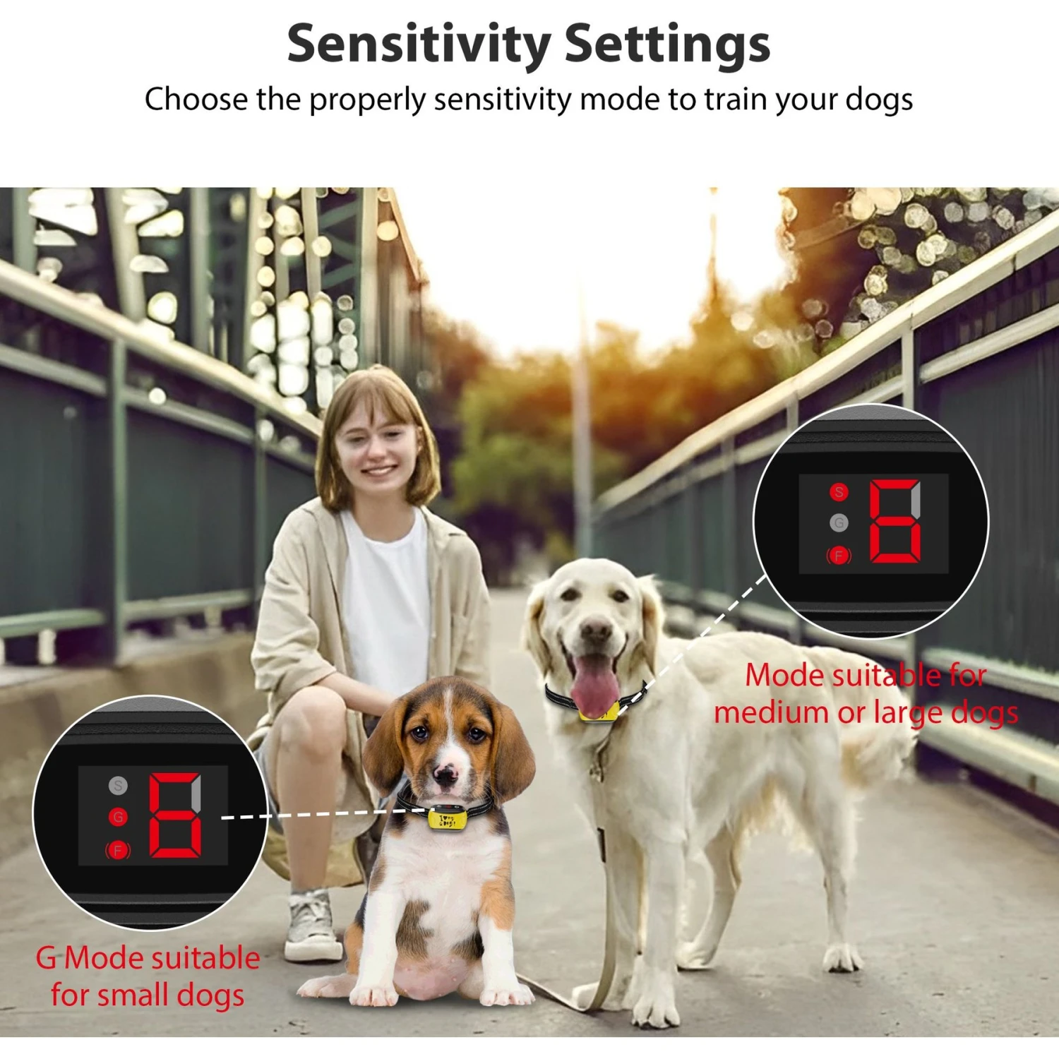 Petdiary Dog Bark Control Collar, Black 4 Petdiary Dog Bark Control Collar, Black - Image 4