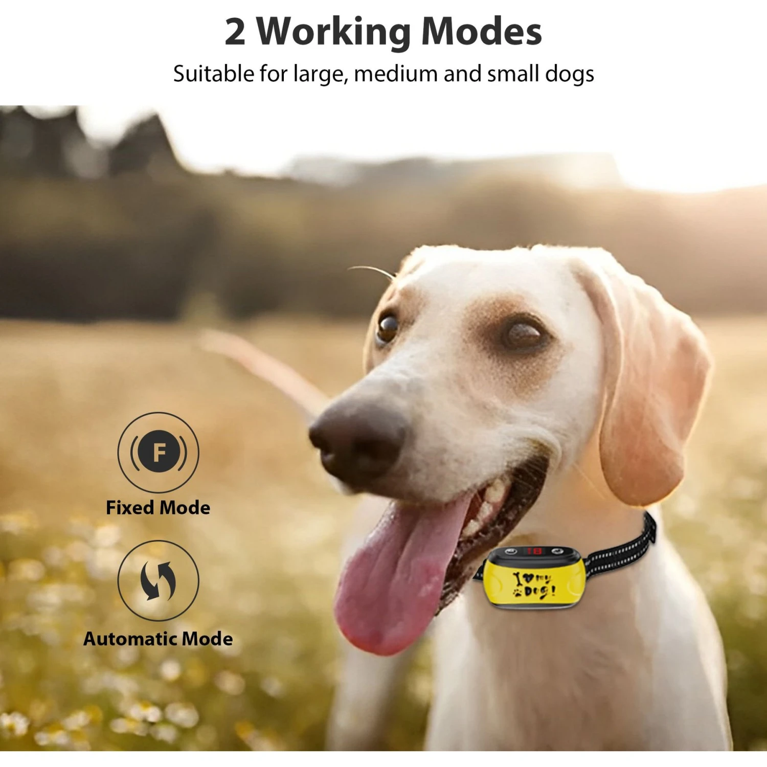 Petdiary Dog Bark Control Collar, Black 5 Petdiary Dog Bark Control Collar, Black - Image 5