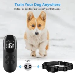 Petdiary Rechargeable & Waterpoof Electric Dog Training Collar, Black -PetSafe Kong Shop 727150 PT5. AC SS1800 V1675868097