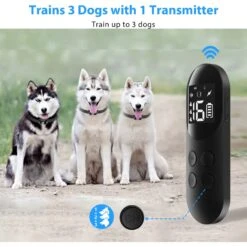 Petdiary Rechargeable & Waterpoof Electric Dog Training Collar, Black -PetSafe Kong Shop 727150 PT6. AC SS1800 V1675868095