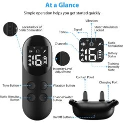 Petdiary Rechargeable & Waterpoof Electric Dog Training Collar, Black -PetSafe Kong Shop 727150 PT7. AC SS1800 V1675867374