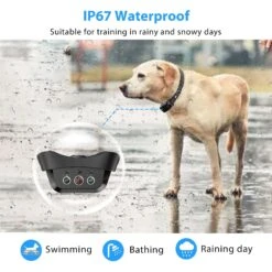 Petdiary Deterrent Dog Spray Collar With Spray Refill, Black 11 Petdiary Deterrent Dog Spray Collar With Spray Refill, Black -PetSafe Kong Shop 727246 PT2. AC SS1800 V1675868147