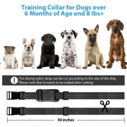 Petdiary Deterrent Dog Spray Collar With Spray Refill, Black 16 Petdiary Deterrent Dog Spray Collar With Spray Refill, Black -PetSafe Kong Shop 727246 PT7. AC SS1800 V1675868097
