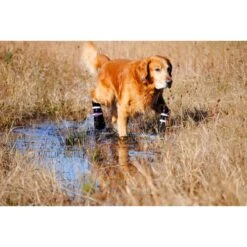 Natural Dog Company PawTection Dog Paw Protector Balm + 2 Items -PetSafe Kong Shop 728142 PT8. AC SS1800 V1669907380