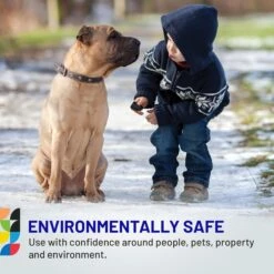 Safe Paw PetSafe Ice Melt For Dogs & Cats + 2 Items 12 Safe Paw PetSafe Ice Melt For Dogs & Cats + 2 Items -PetSafe Kong Shop 728166 PT3. AC SS1800 V1669907012