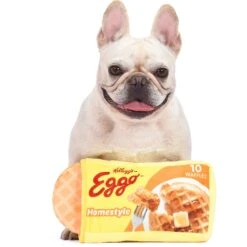 Fetch For Pets Kellogg's Eggo Box Figure Plush Squeaky Dog Toy -PetSafe Kong Shop 728366 PT3. AC SS1800 V1682608476