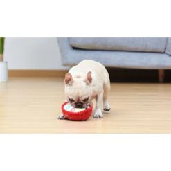 Fetch For Pets Kellogg's Froot Loops Cereal Bowl Plush Squeaky Dog Toy, Small 9 Fetch For Pets Kellogg's Froot Loops Cereal Bowl Plush Squeaky Dog Toy, Small -PetSafe Kong Shop 728414 PT4. AC SS1800 V1682628526