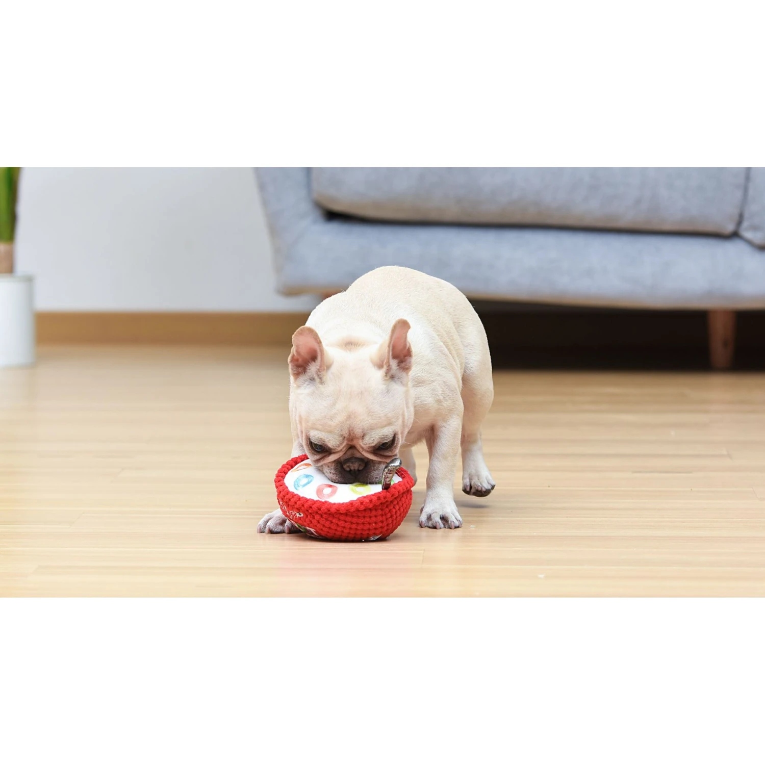 Fetch For Pets Kellogg's Froot Loops Cereal Bowl Plush Squeaky Dog Toy, Small 5 Fetch For Pets Kellogg's Froot Loops Cereal Bowl Plush Squeaky Dog Toy, Small - Image 5