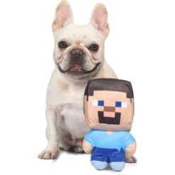 Fetch For Pets Minecraft Steve Figure Plush Squeaky Dog Toy, Large -PetSafe Kong Shop 728494 PT3. AC SS1800 V1682608603