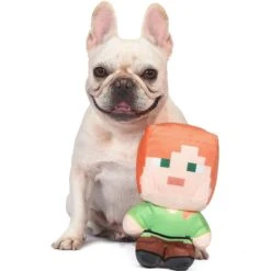 Fetch For Pets Minecraft Alex Figure Plush Squeaky Dog Toy, Large 8 Fetch For Pets Minecraft Alex Figure Plush Squeaky Dog Toy, Large -PetSafe Kong Shop 728510 PT3. AC SS1800 V1682622136