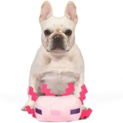 Fetch For Pets Minecraft Leucistic Axolotl Figure Plush Squeaky Dog Toy, Large -PetSafe Kong Shop 728526 PT3. AC SS1800 V1682609153