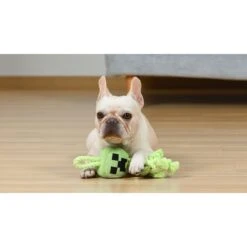 Fetch For Pets Minecraft Creeper Rope Squeaky Dog Toy -PetSafe Kong Shop 728574 PT4. AC SS1800 V1682627985