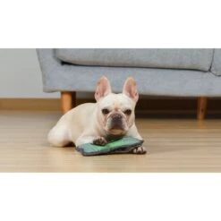 Fetch For Pets Minecraft Bone Oxford Plush Bone Dog Toy 9 Fetch For Pets Minecraft Bone Oxford Plush Bone Dog Toy -PetSafe Kong Shop 728622 PT4. AC SS1800 V1682628131