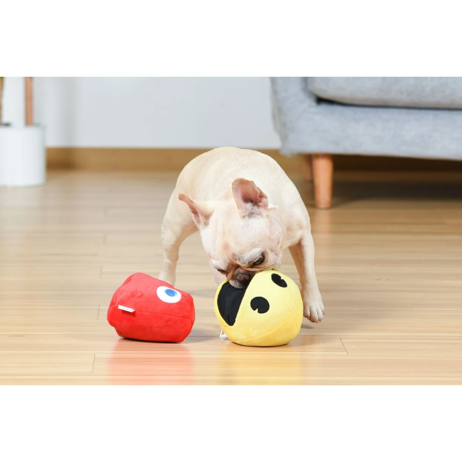 Fetch For Pets Pac-Man Pac-Man & Blinky Plush Squeaky Dog Toy, Small, 2 Count 5 Fetch For Pets Pac-Man Pac-Man & Blinky Plush Squeaky Dog Toy, Small, 2 Count - Image 5