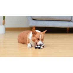 Fetch For Pets Star Wars Han Solo Plush Figure Dog Toy 9 Fetch For Pets Star Wars Han Solo Plush Figure Dog Toy -PetSafe Kong Shop 728958 PT4. AC SS1800 V1682608575