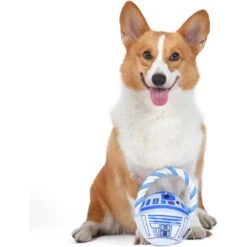 Fetch For Pets Star Wars R2D2 Rope Head Plush Dog Toy -PetSafe Kong Shop 729030 PT3. AC SS1800 V1682609191