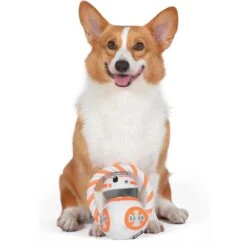 Fetch For Pets Star Wars Bb8 Rope Head Plush Dog Toy -PetSafe Kong Shop 729046 PT3. AC SS1800 V1682628767