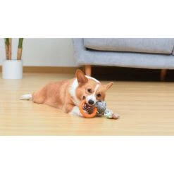 Fetch For Pets Star Wars Mandalorian The Child In Cradle Puppy Teething Ring Dog Toy 9 Fetch For Pets Star Wars Mandalorian The Child In Cradle Puppy Teething Ring Dog Toy -PetSafe Kong Shop 729110 PT4. AC SS1800 V1682608549