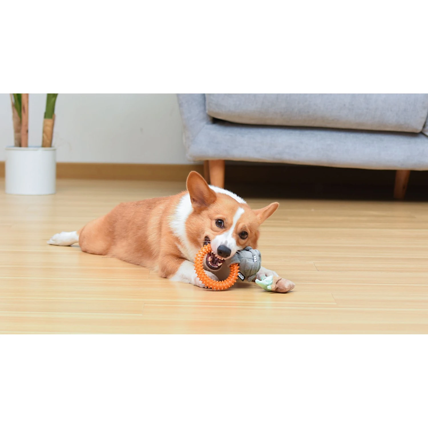 Fetch For Pets Star Wars Mandalorian The Child In Cradle Puppy Teething Ring Dog Toy 5 Fetch For Pets Star Wars Mandalorian The Child In Cradle Puppy Teething Ring Dog Toy - Image 5