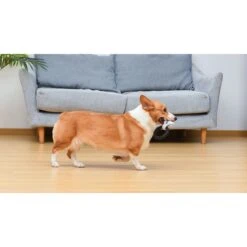 Fetch For Pets Star Wars Mandalorian Mando Teething Ring Puppy Dog Toy 9 Fetch For Pets Star Wars Mandalorian Mando Teething Ring Puppy Dog Toy -PetSafe Kong Shop 729126 PT4. AC SS1800 V1682608706