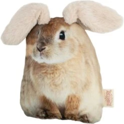 Territory Floppy Friends Rabbit & Squirrel Dog Toy Bundle, 2 Count -PetSafe Kong Shop 729262 PT1. AC SS1800 V1670006793