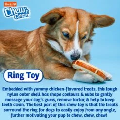 Hartz Chew 'n Clean Ring Dog Toy, Medium -PetSafe Kong Shop 731678 PT3. AC SS1800 V1670515536