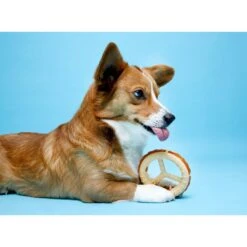 Hartz Chew 'n Clean Ring Dog Toy, Medium -PetSafe Kong Shop 731678 PT4. AC SS1800 V1670451683