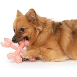 Zeus Duo Cross Bones Dog Toy, 6-in, Coral -PetSafe Kong Shop 732182 PT3. AC SS1800 V1670515418