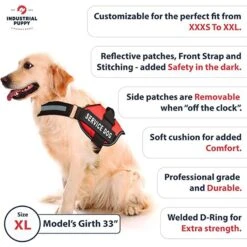 Industrial Puppy Service Dog Vest Harness With 2 Reflective Service Dog Patches & 50 ADA Cards, Purple -PetSafe Kong Shop 732550 PT2. AC SS1800 V1670508802
