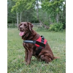Industrial Puppy Reflective Hook & Loop Strap Dog Harness -PetSafe Kong Shop 732654 PT6. AC SS1800 V1670516901