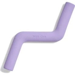 Wild One Bolt Bite Small Chew Dog Toy -PetSafe Kong Shop 734862 PT2. AC SS1800 V1670876600