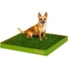 DoggieLawn Large Natural Real Grass Dog Pee Pad, 24-in X 24-in