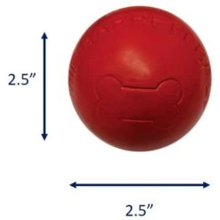 Ethical Pet Barrett Ball Dog Toy -PetSafe Kong Shop 736446 PT2. AC SS1800 V1683226315