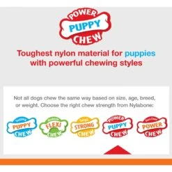 Nylabone Puppy Power Chew Knuckle Bone & Pop-In Puppy Treat Toy Combo -PetSafe Kong Shop 737846 PT3. AC SS1800 V1672935650