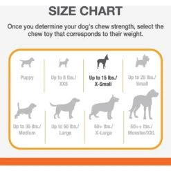 Nylabone Puppy Power Chew Knuckle Bone & Pop-In Puppy Treat Toy Combo -PetSafe Kong Shop 737846 PT4. AC SS1800 V1672935650