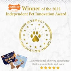 Nylabone Puppy Gourmet Style Strong Chew Femur Bacon Flavored Dog Toy, Brown, Small -PetSafe Kong Shop 737870 PT2. AC SS1800 V1672935648