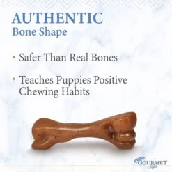 Nylabone Puppy Gourmet Style Strong Chew Femur Bacon Flavored Dog Toy, Brown, Small -PetSafe Kong Shop 737870 PT4. AC SS1800 V1672930606
